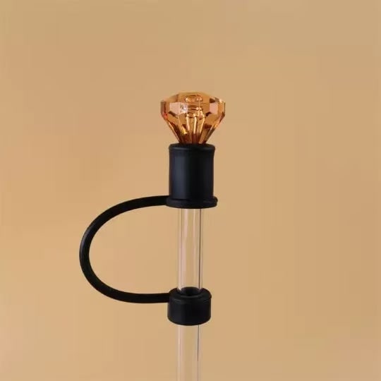 Stanley LV Tumbler Gifts